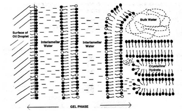 liquid crystal aertikel mnn