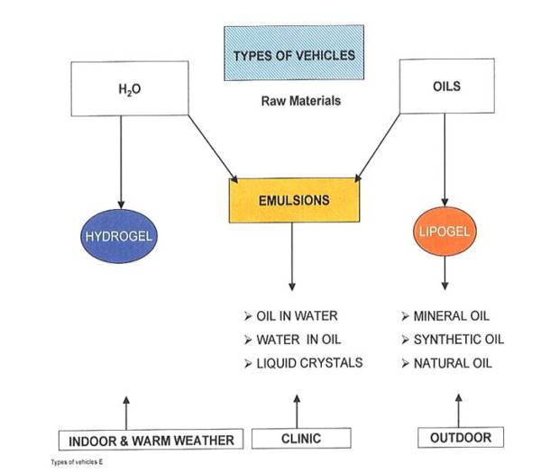 types of vehicles artikel MNN